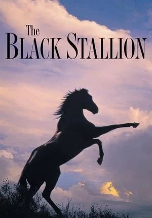 The Black Stallion                อาชาเพื่อนยาก                1979